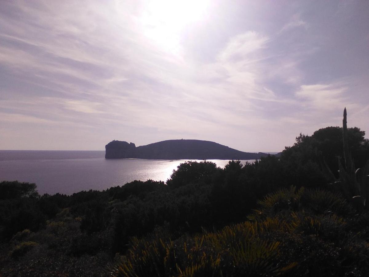 Giramondo Sardegna Affittacamere Alghero Zewnętrze zdjęcie