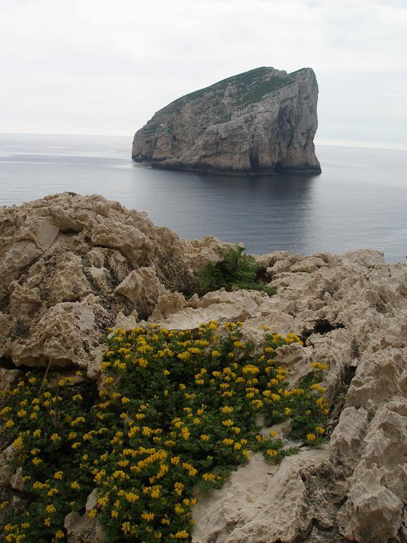 Giramondo Sardegna Affittacamere Alghero Zewnętrze zdjęcie