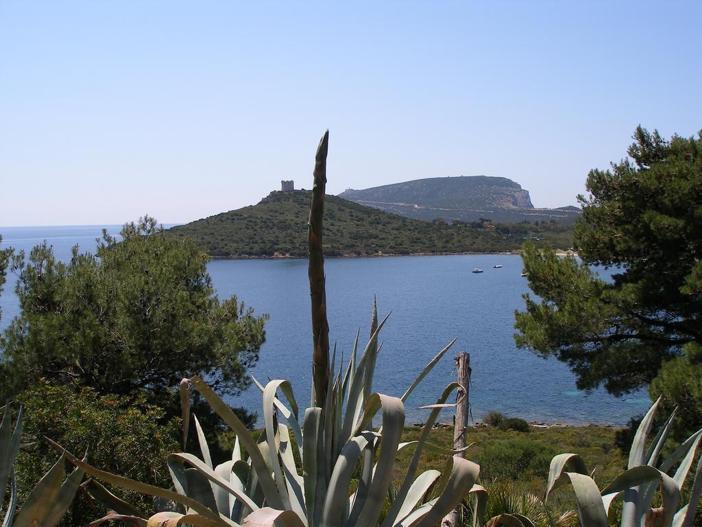 Giramondo Sardegna Affittacamere Alghero Zewnętrze zdjęcie