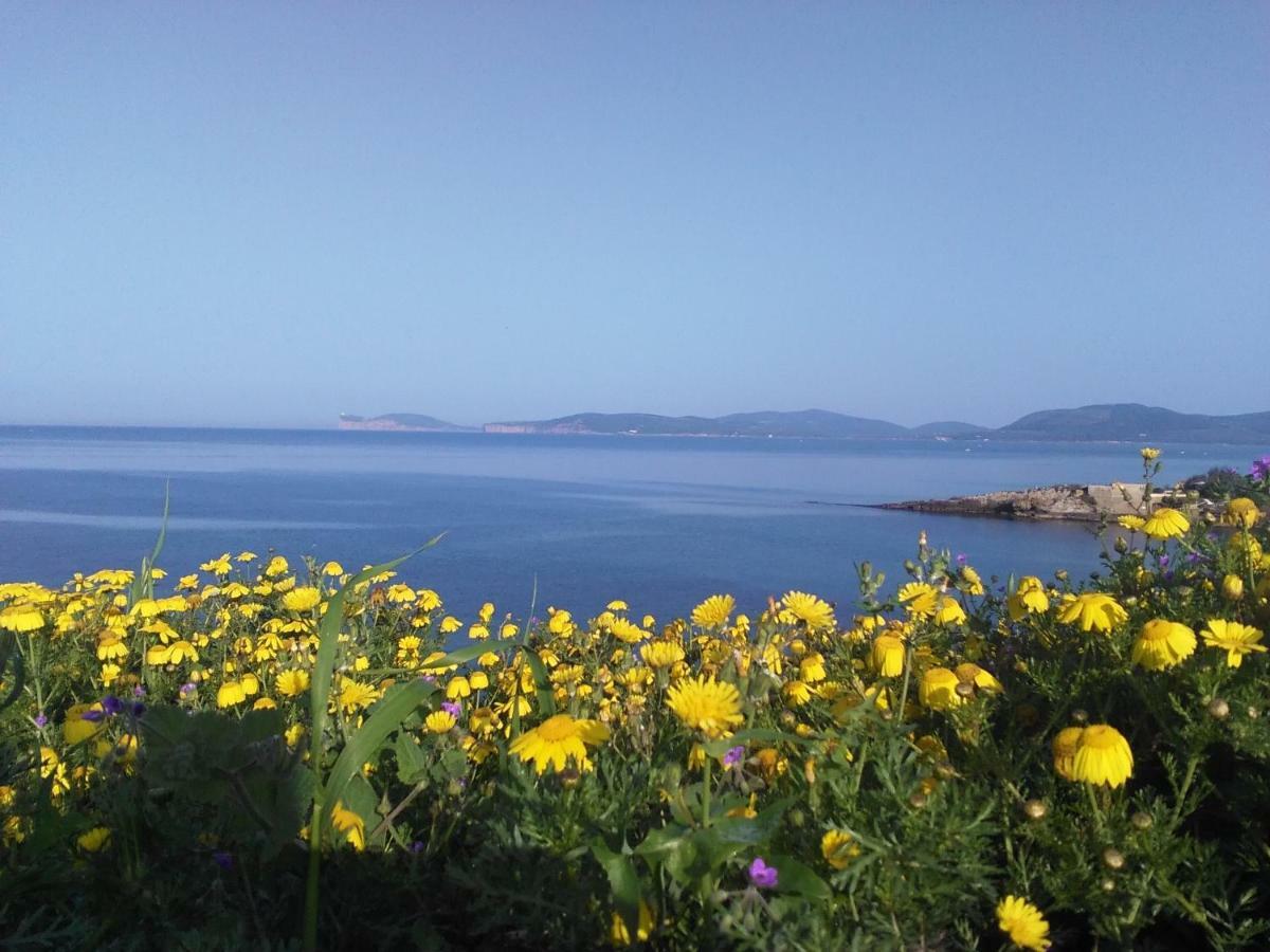 Giramondo Sardegna Affittacamere Alghero Zewnętrze zdjęcie