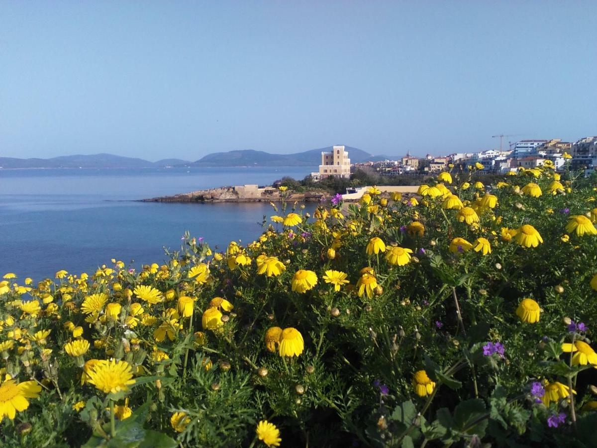 Giramondo Sardegna Affittacamere Alghero Zewnętrze zdjęcie